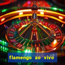 flamengo ao vivo hd play